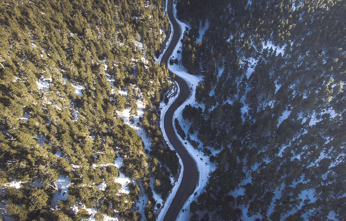 aerial view of road in between pine forest